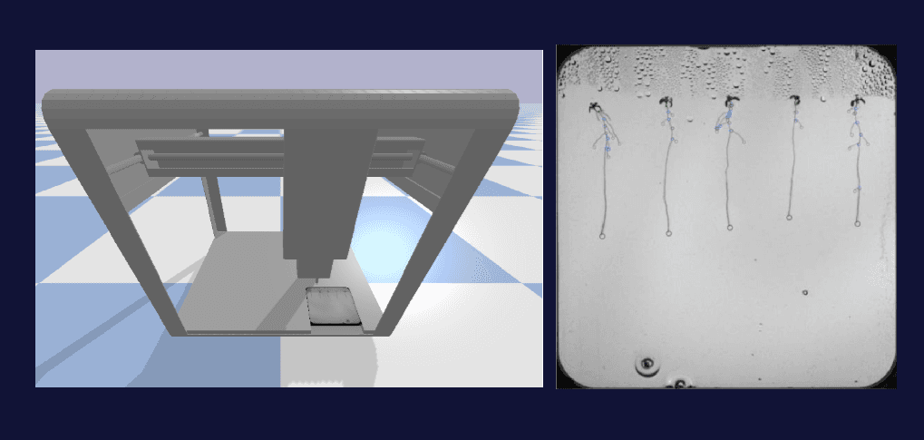 Automated plant phenotyping using Computer Vision and Robotics